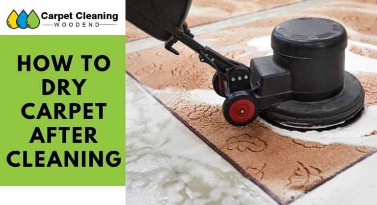 How To Dry Carpet After Cleaning
